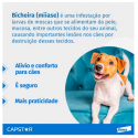 Antipulgas Elanco Capstar 11mg para Cães e Gatos de até 11kg com 6 Comprimidos