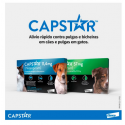 Antipulgas Elanco Capstar 11mg para Cães e Gatos de até 11kg com 6 Comprimidos