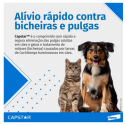 Antipulgas Elanco Capstar 11mg para Cães e Gatos de até 11kg com 6 Comprimidos